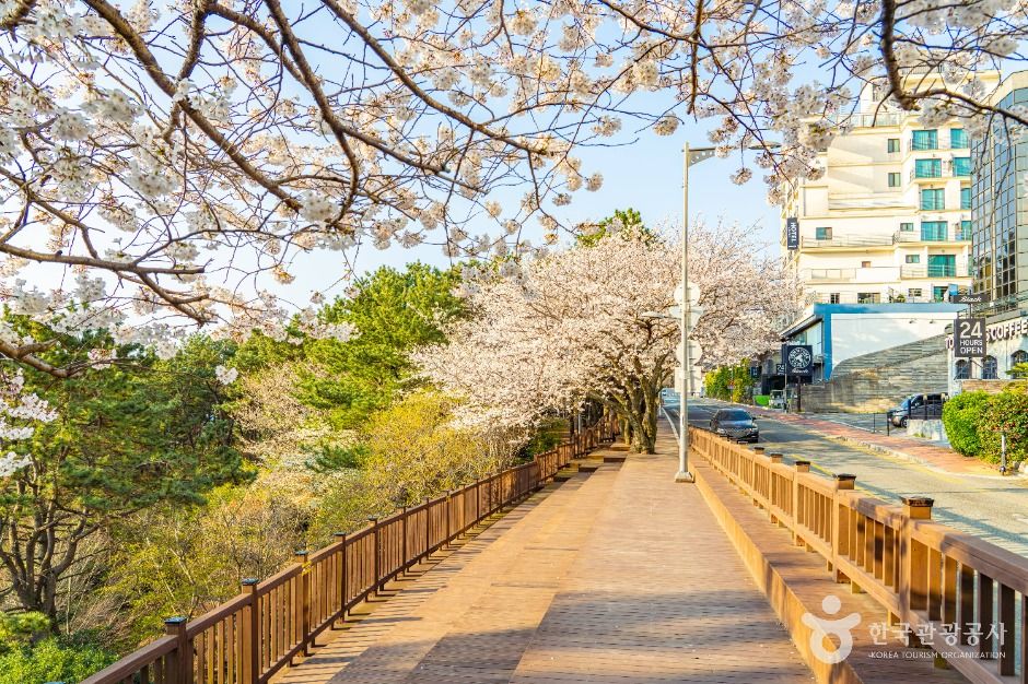 문탠로드 여행 추천 - 로드트립