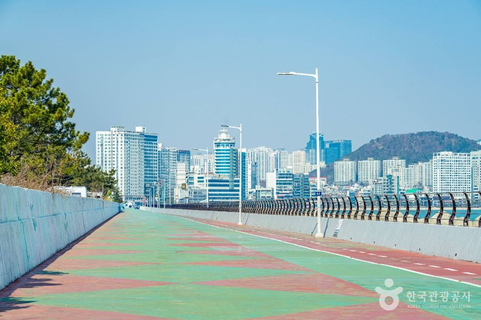 삼익비치수변공원 여행 추천 - 로드트립