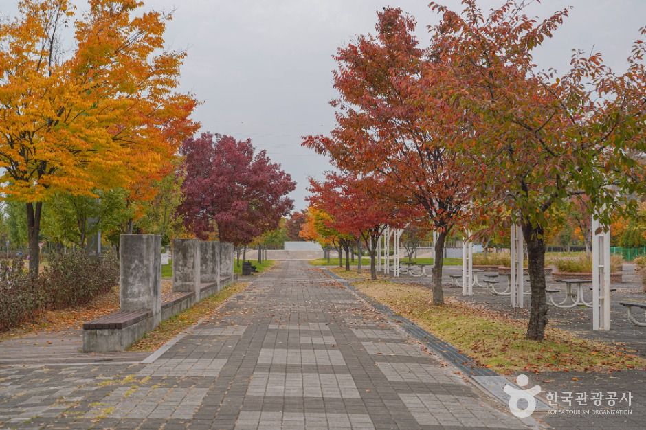 난지한강공원 여행 추천 - 로드트립