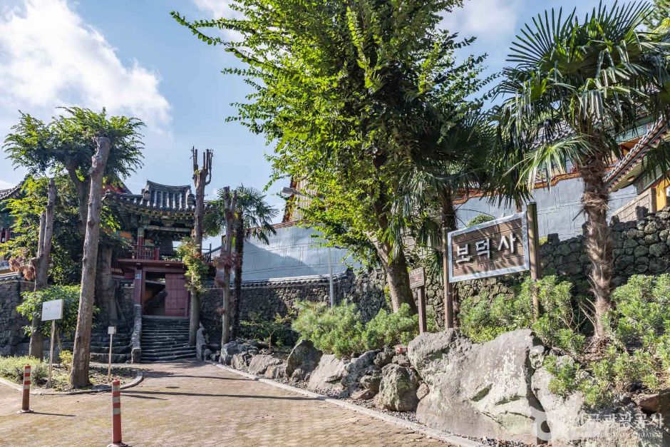 보덕사(제주) 여행 추천 - 로드트립