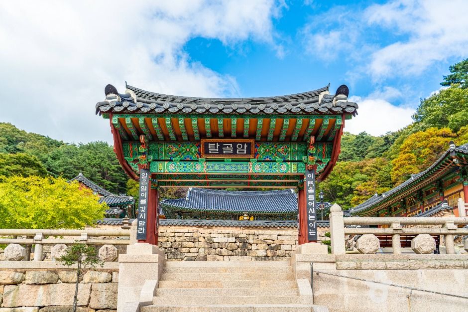 탈골암(충북) 여행 추천 - 로드트립