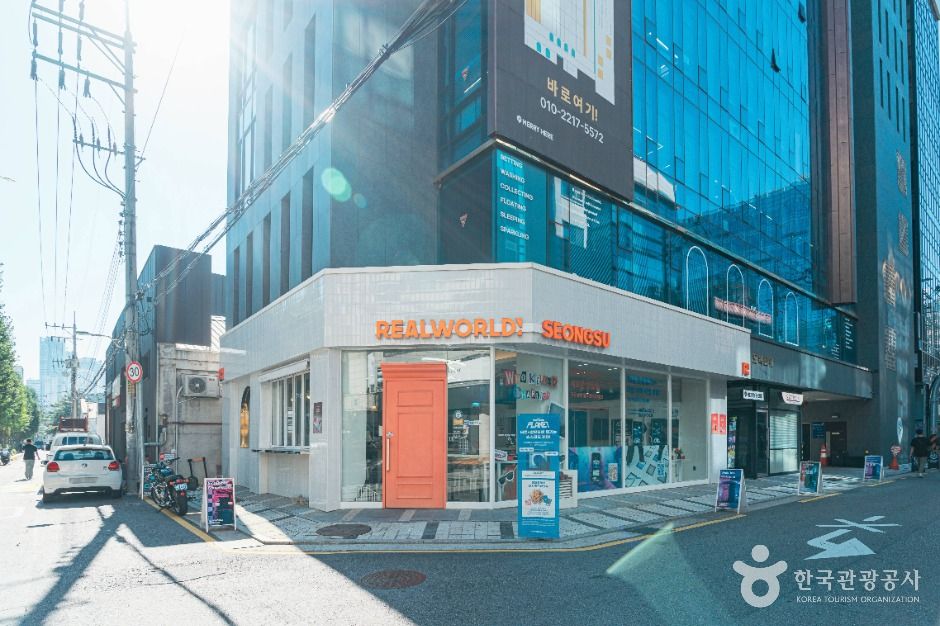 리얼월드 성수 여행 추천 - 로드트립
