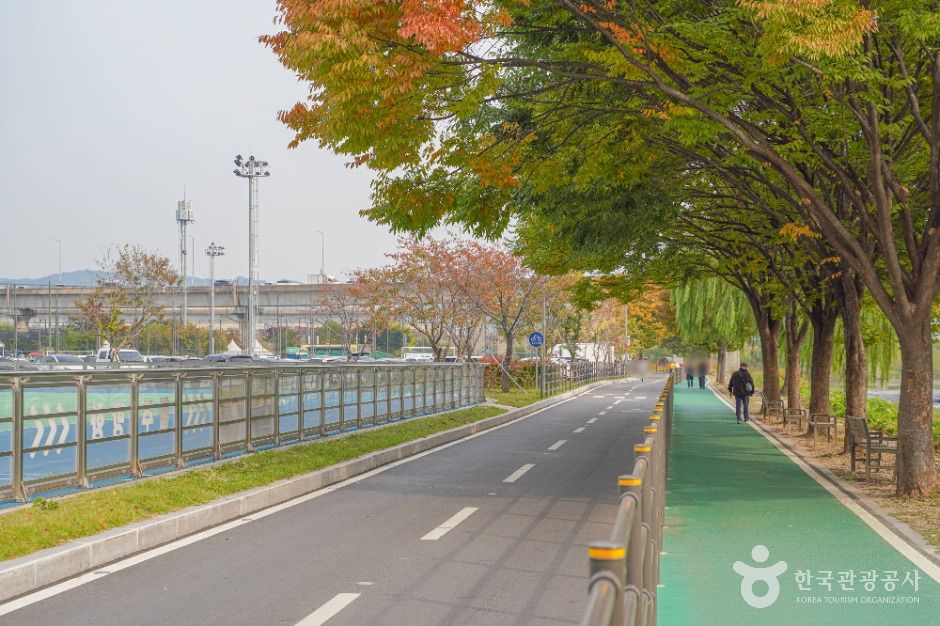 살곶이체육공원 여행 추천 - 로드트립