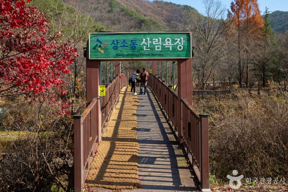 상소동 산림욕장 여행 추천 - 로드트립