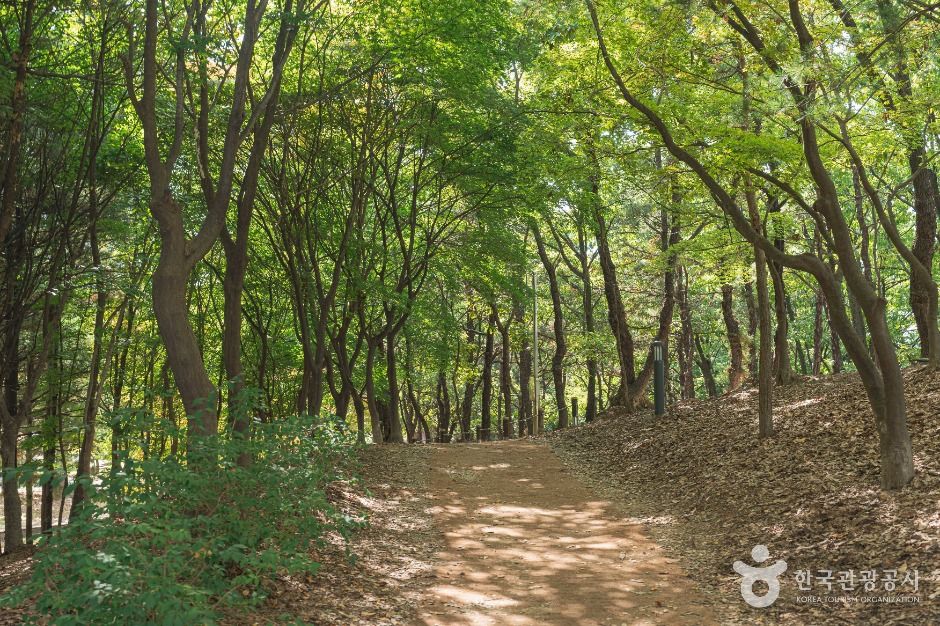 남선공원 여행 추천 - 로드트립