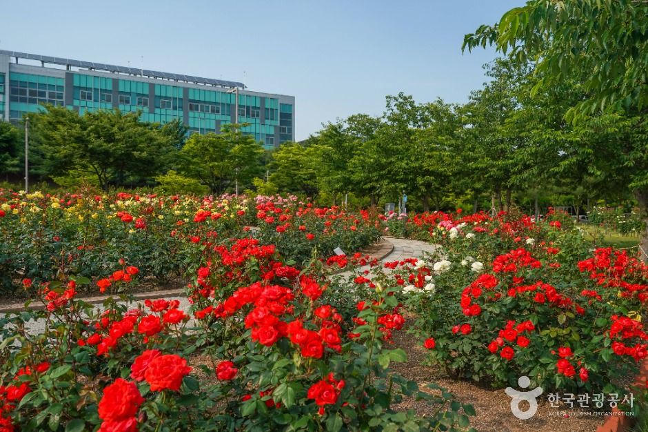 신서 중앙공원 여행 추천 - 로드트립