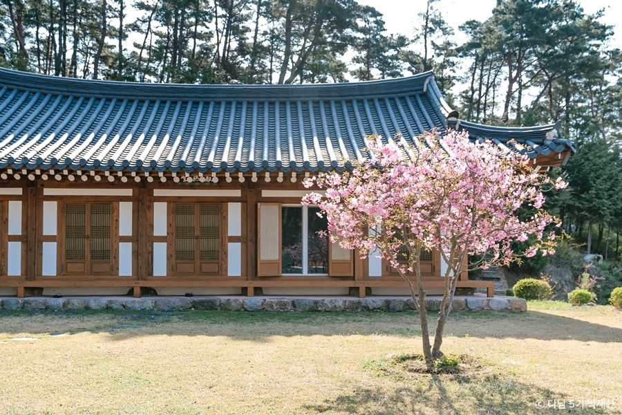 수림사 여행 추천 - 로드트립
