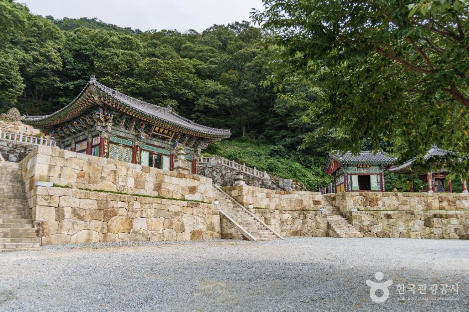 용덕사 여행 추천 - 로드트립