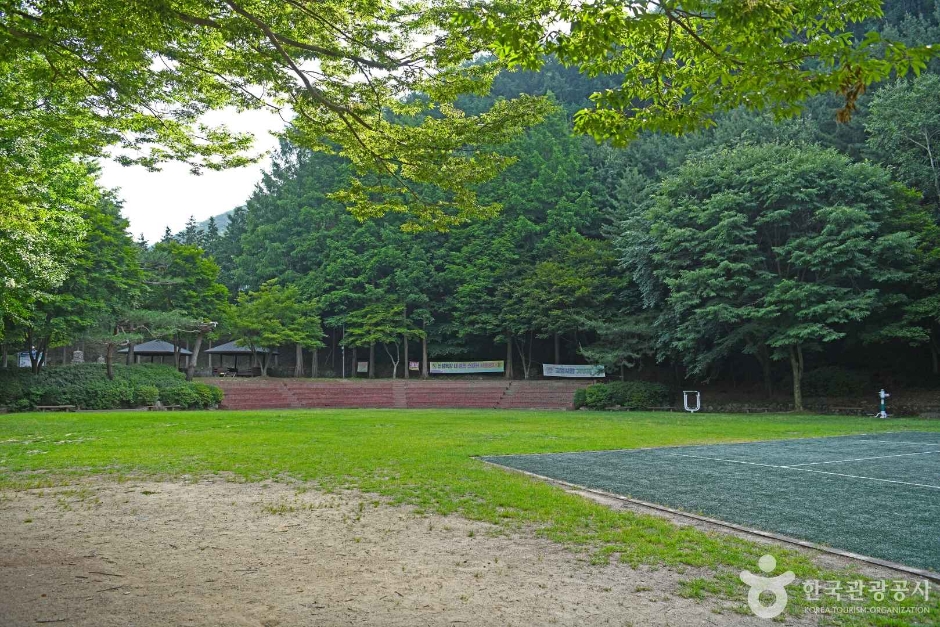 봉학골산림욕장 여행 추천 - 로드트립