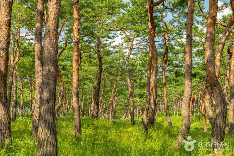 공주 고마나루 여행 추천 - 로드트립