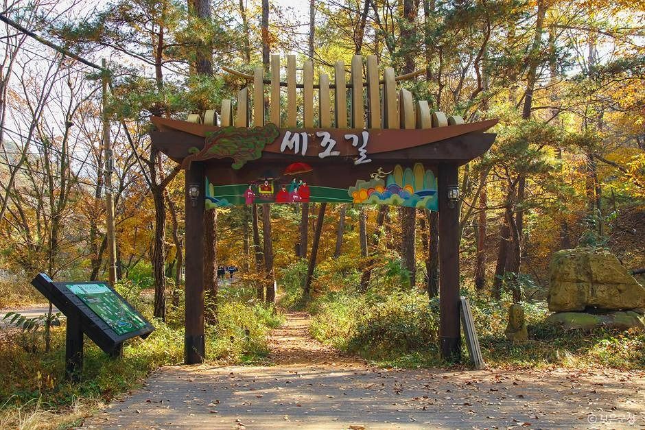 세조길 여행 추천 - 로드트립