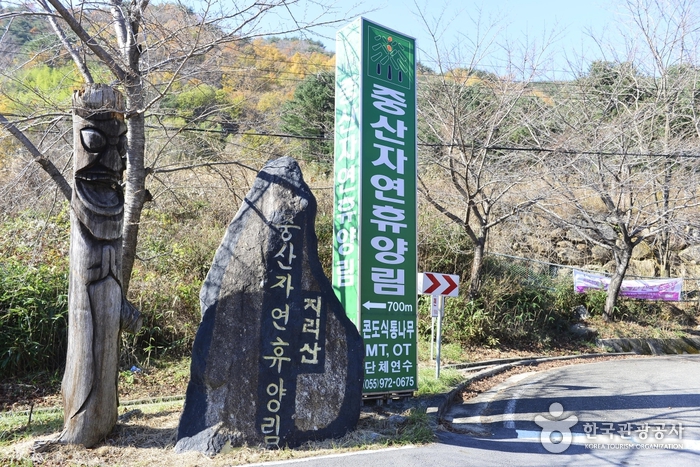 중산리자연휴양림 여행 추천 - 로드트립