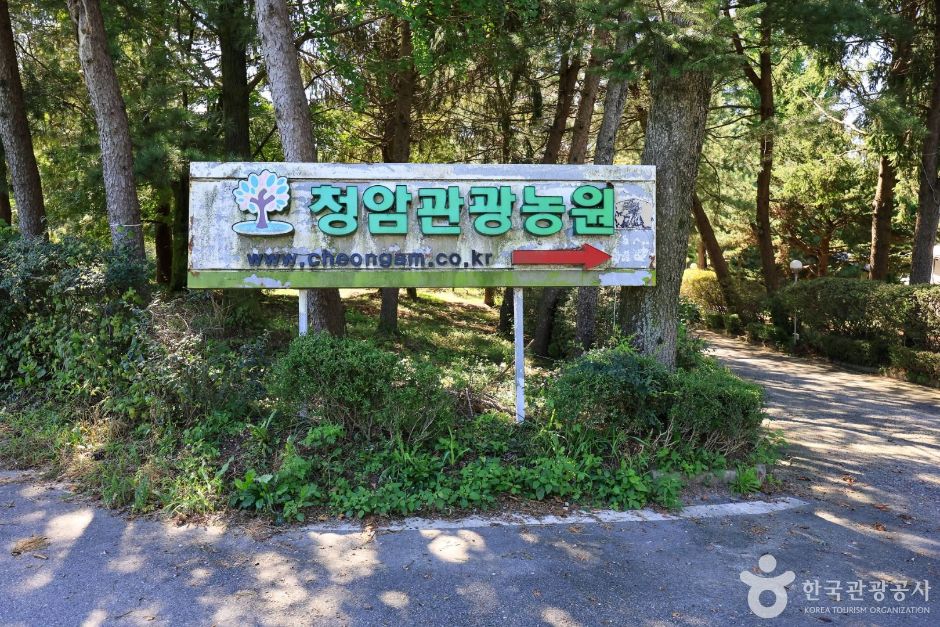청암관광농원 여행 추천 - 로드트립
