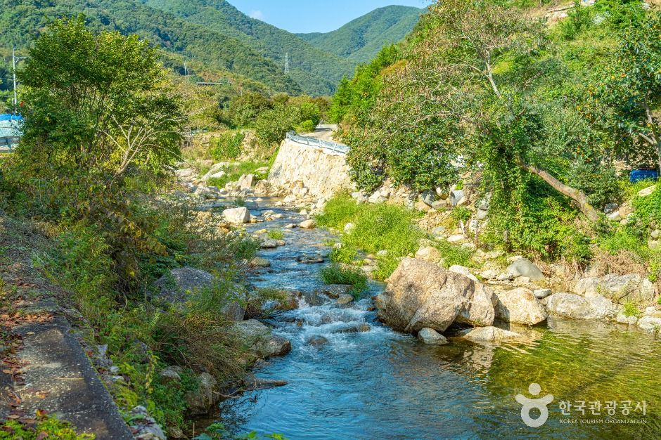 고운동계곡 여행 추천 - 로드트립