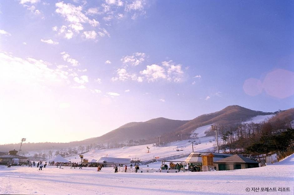 지산 포레스트 리조트 스키장 여행 추천 - 로드트립