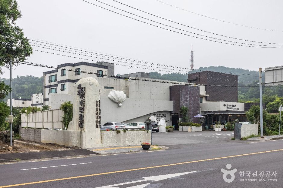 세계조가비박물관 여행 추천 - 로드트립