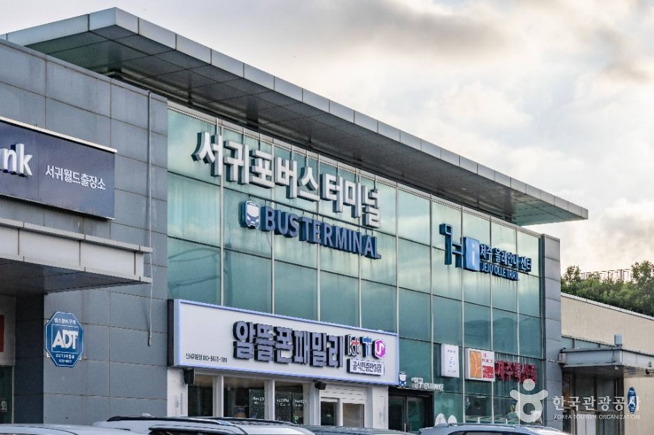 [제주올레 7-1코스] 서귀포 버스터미널 - 제주올레 여행자센터 올레 여행 추천 - 로드트립