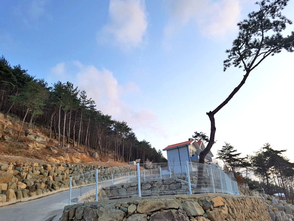 산들바다관광농원 여행 추천 - 로드트립