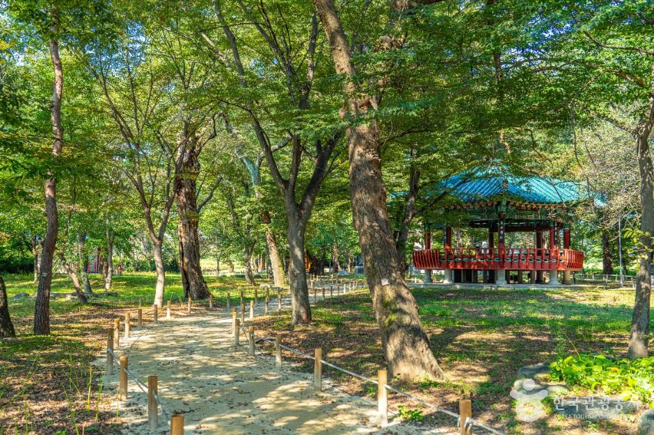 악양 취간림 여행 추천 - 로드트립