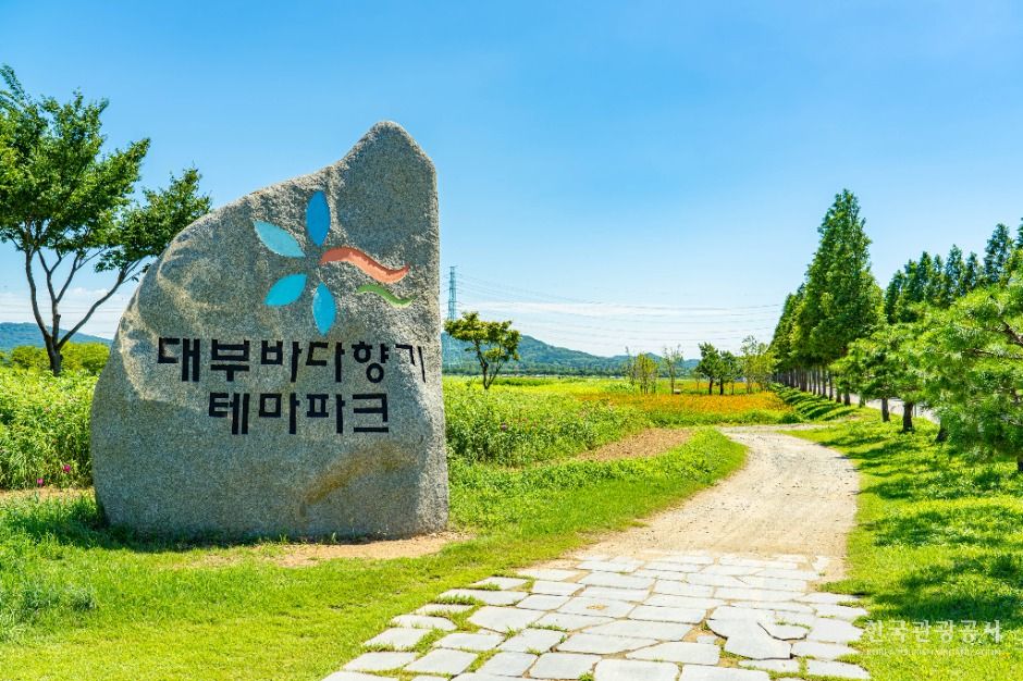 대부바다향기테마파크 여행 추천 - 로드트립