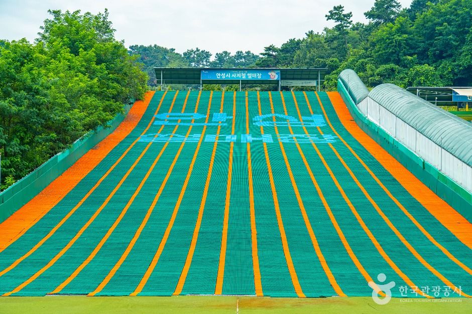 안성시 사계절썰매장 여행 추천 - 로드트립