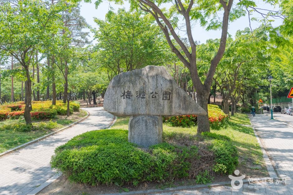 매탄공원 여행 추천 - 로드트립