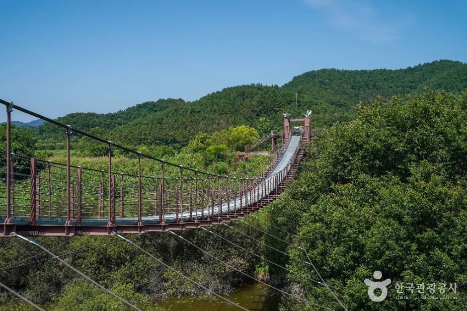 우포출렁다리 여행 추천 - 로드트립