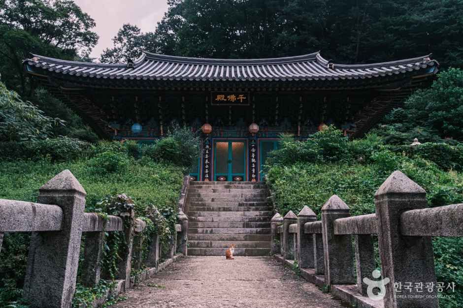 광덕사(천안) 여행 추천 - 로드트립
