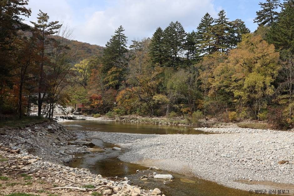 오대산 선재길 여행 추천 - 로드트립