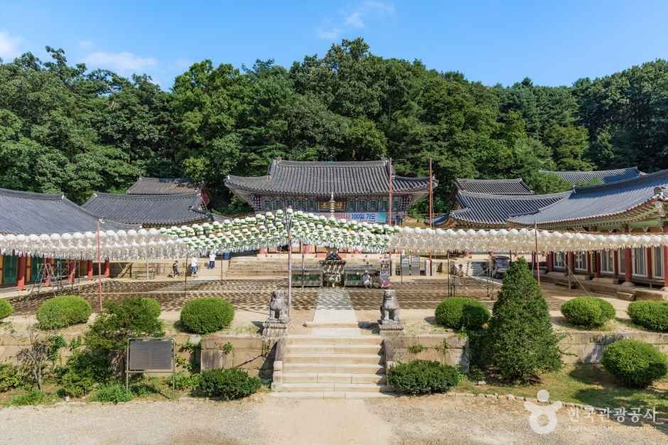 봉선사(남양주) 여행 추천 - 로드트립