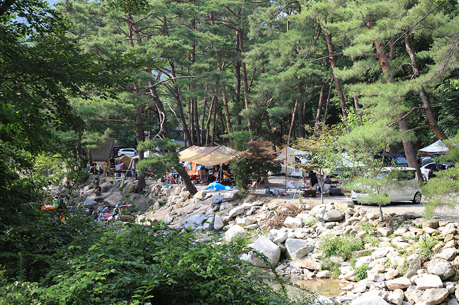 산골캠핑장 여행 추천 - 로드트립