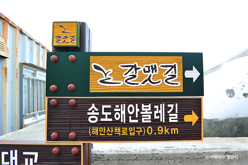 송도해안볼레길 여행 추천 - 로드트립