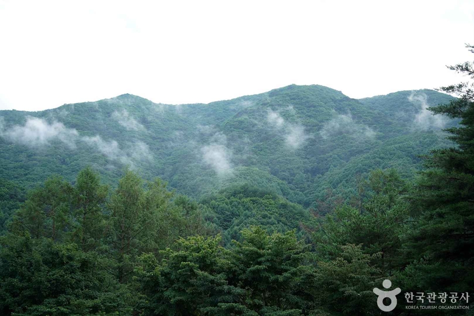 선달산(영월) 여행 추천 - 로드트립