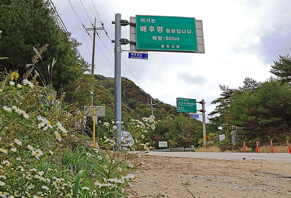 배후령고개 여행 추천 - 로드트립