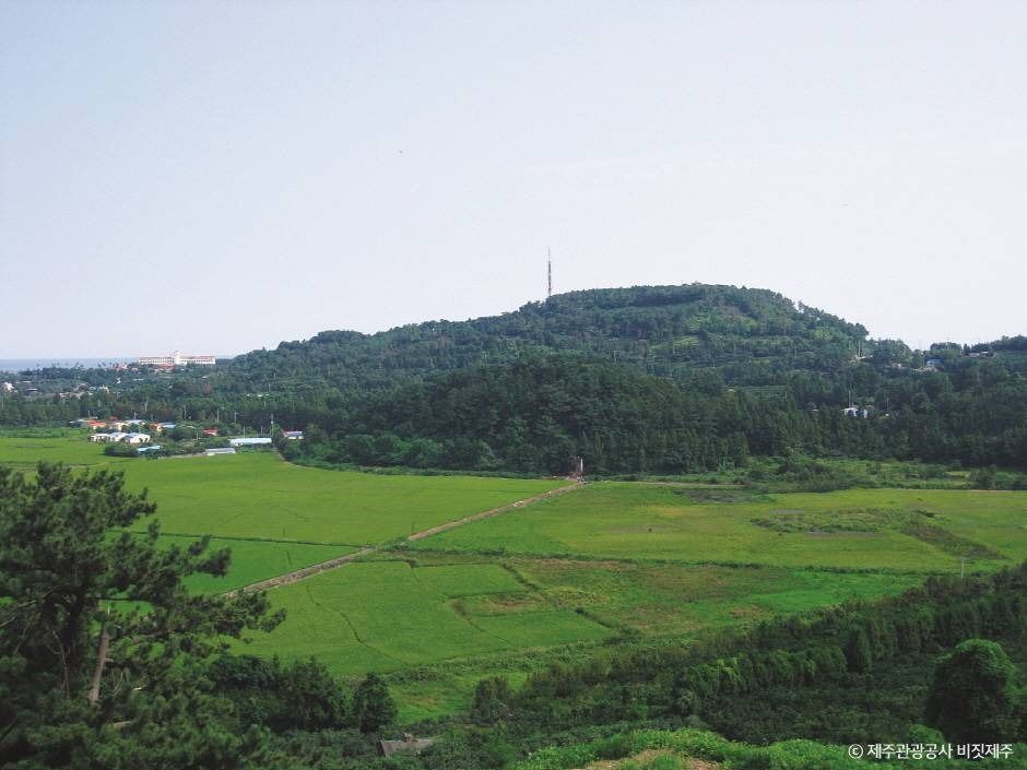삼매봉 여행 추천 - 로드트립