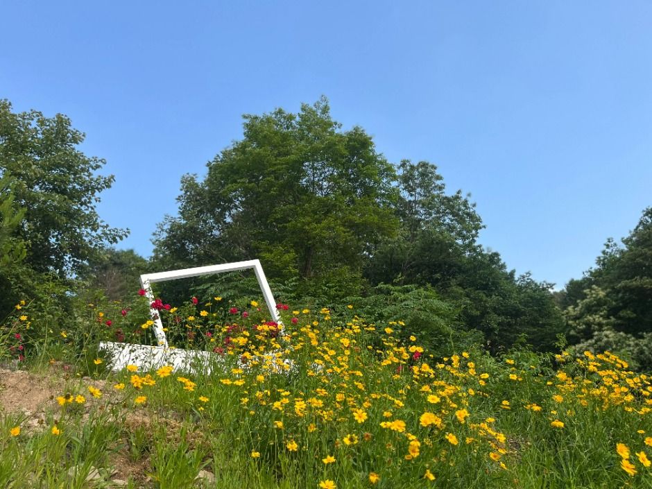 춘천숲자연휴양림 여행 추천 - 로드트립