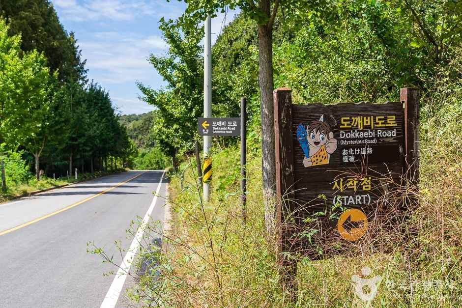 비암사 도깨비도로 여행 추천 - 로드트립