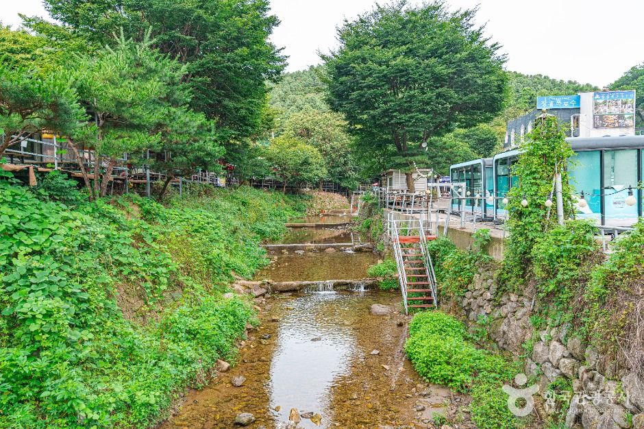 장흥유원지 여행 추천 - 로드트립