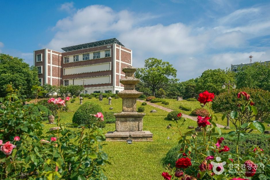 경북대학교박물관 여행 추천 - 로드트립