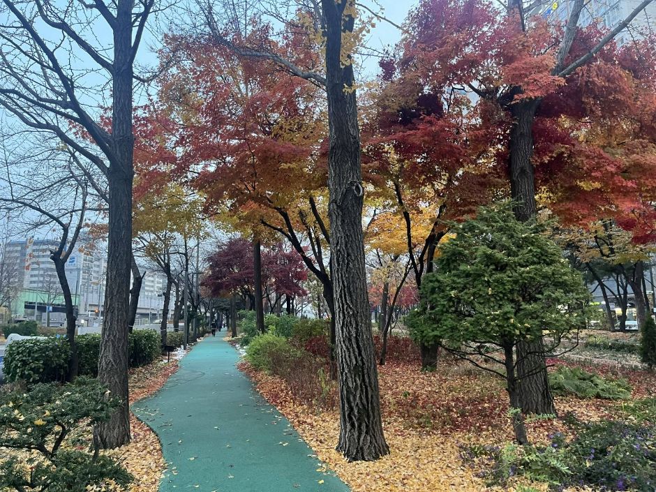 구로거리공원 여행 추천 - 로드트립