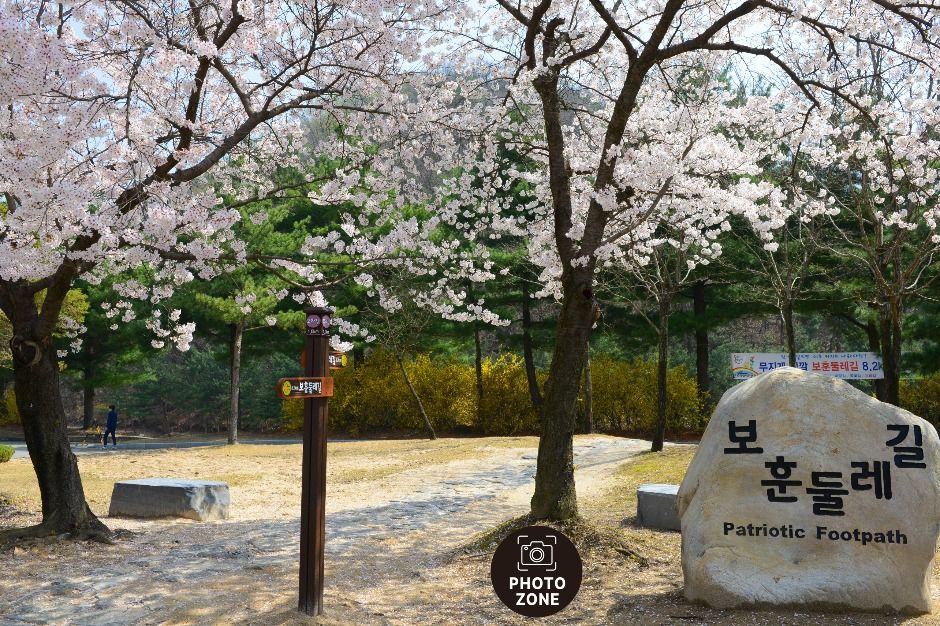 국립대전현충원 보훈둘레길 여행 추천 - 로드트립