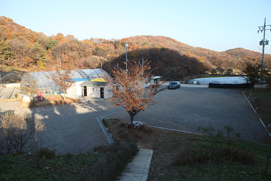 지내울야영장 여행 추천 - 로드트립