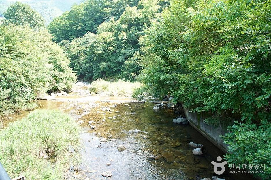 지암계곡 여행 추천 - 로드트립