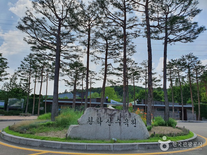 황학산수목원 여행 추천 - 로드트립