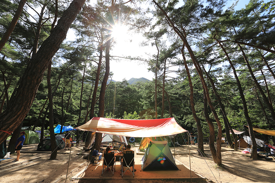월악산국립공원 덕주야영장 여행 추천 - 로드트립
