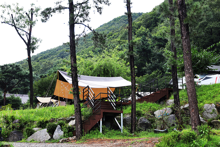 용인자연숲캠핑장 여행 추천 - 로드트립