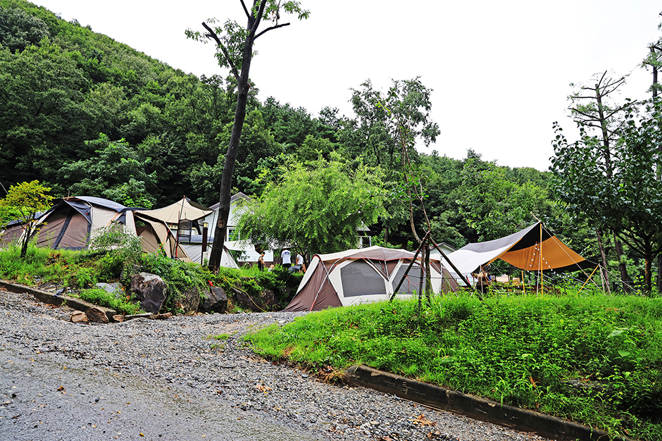 용인자연숲캠핑장 여행 추천 - 로드트립