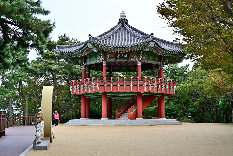 달맞이동산 여행 추천 - 로드트립