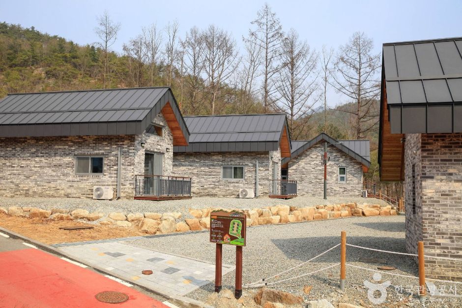 국립춘천숲체원 여행 추천 - 로드트립