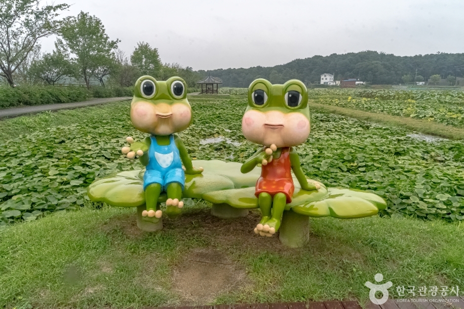 내동마을 연꽃단지 여행 추천 - 로드트립